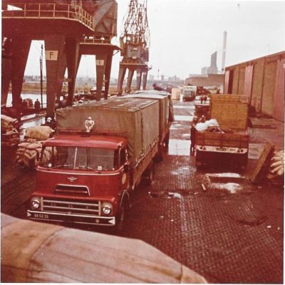 190781531_167904728674699_274518031445543382_n