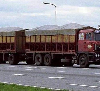 235036038_223771643088007_3042225484629882247_n